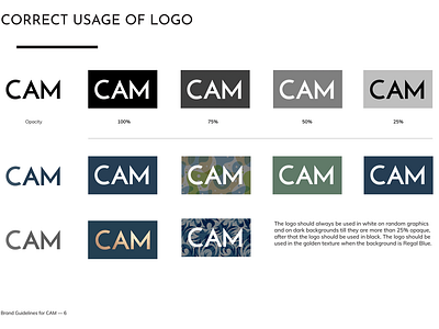 CAM - Correct Use Of Logo branding design font logo palette typography