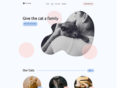 Cat shelter design shop web website