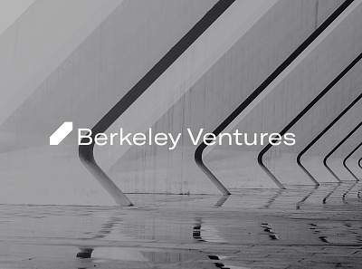 Berkeley Ventures branding design identity branding logo design