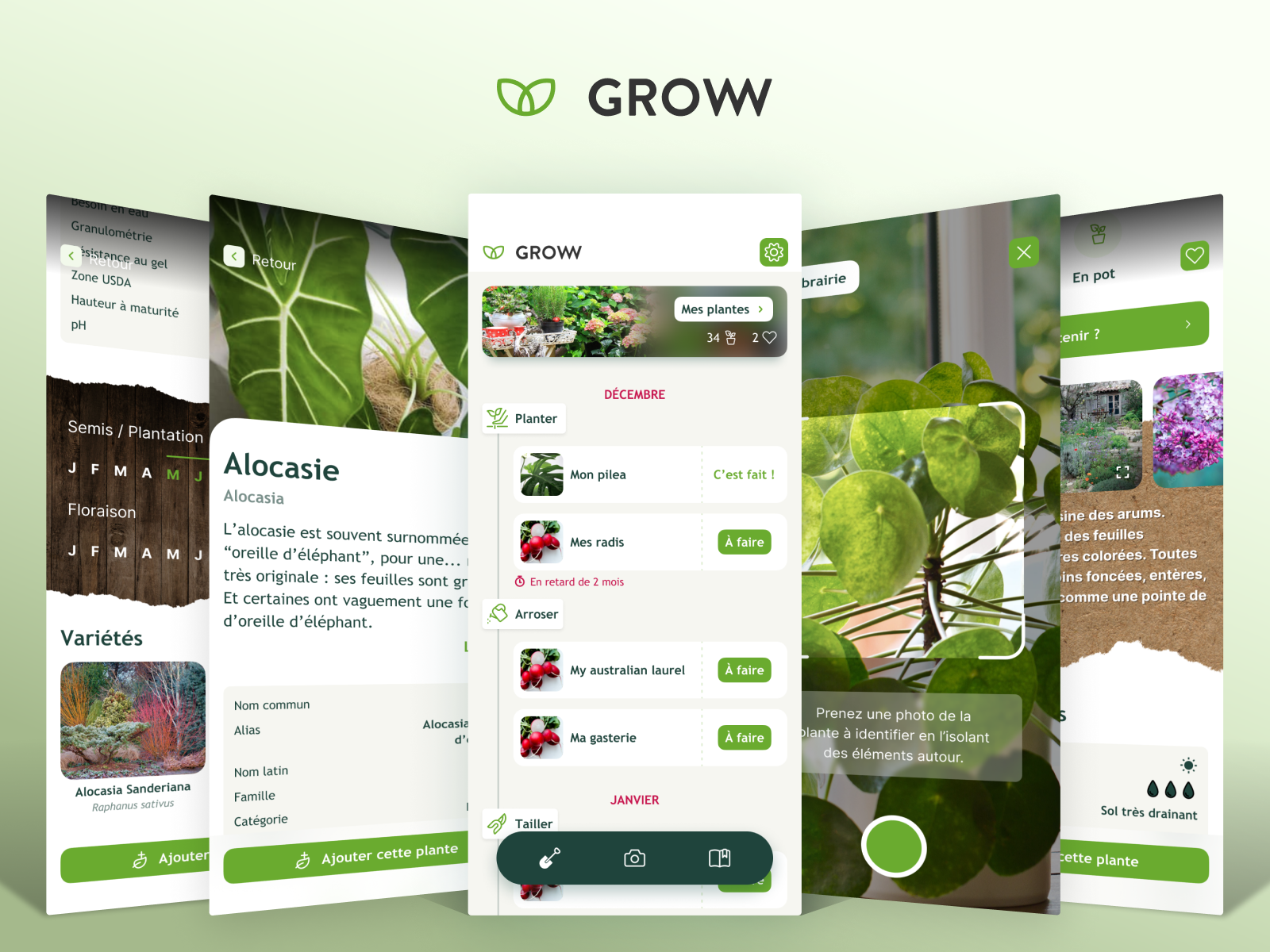 Groww • App For Plants By Tymate On Dribbble