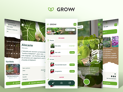 Groww • App for plants app app plant branding care plant catalogue design french app garden green grow plants scan