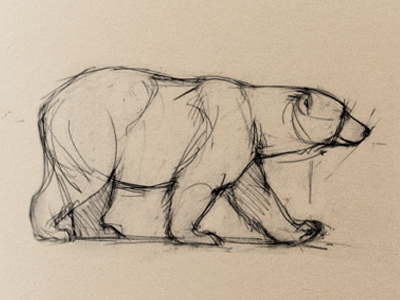 Sketch bear