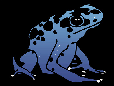Derpy Frog animals blue frog nature vector