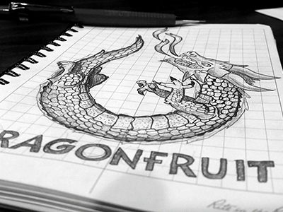 Dragon Fruit (WIP) dragon dragon fruit dragonfruit fruit logo mikes hard sketch