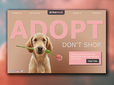 Adopt, Don't Shop branding dogs homepage photoshop ui ui design