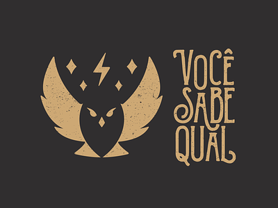 Você Sabe Qual branding harry potter hogwarts logo logo design logo design branding logotype magic owl