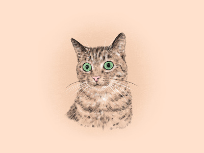 Kitty Cat Portrait cat digital illustration illustration portrait procreate