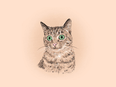 Kitty Cat Portrait