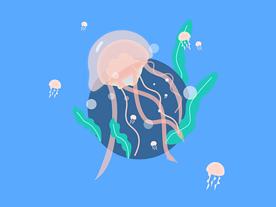 Day-7 Jellyfish jellyfish