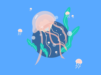 Day-7  Jellyfish