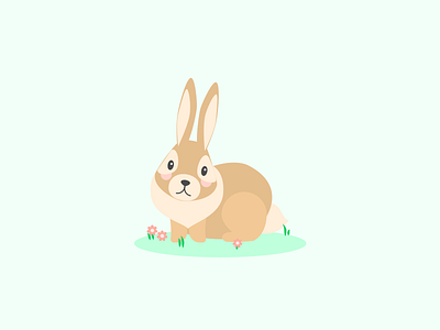 Day - 08 Rabbit