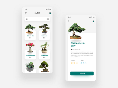 Pattels app app concept bonsai cards eco green ios minimal nature plants ui uiuxdesign ux