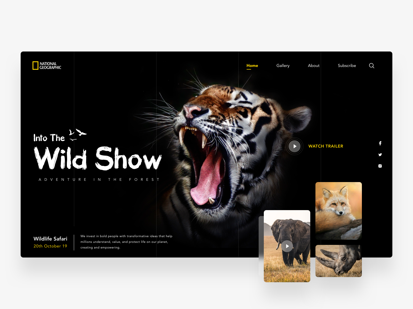 Animals сайт. Лучшие дизайны сайты о животных. Лучшие дизайнерские сайты с животными. Дизайн сайта для животных.