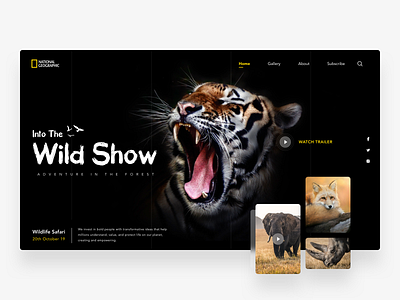 Wildlife Website adventure animals app concept cards design discovery forest icon ios landing page minimal movie national geographic tiger typography ui uiux ux website wildlife