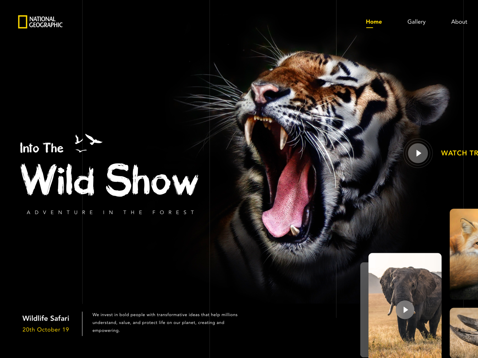 Wildlife site by Neelesh Chaudhary for Nickelfox on Dribbble