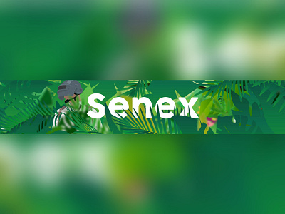 Senex banner design graphic design illustration new pubg realism vector