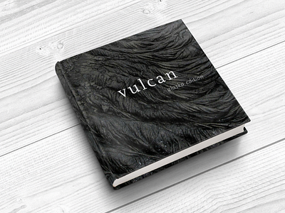Vulcan Coffee Book book design branding clean design typography