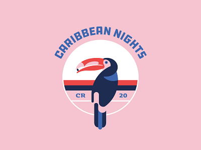 Caribbean Nights caribbean color color palette costa rica geometric geometric design geometric illustration illustration toucan vector