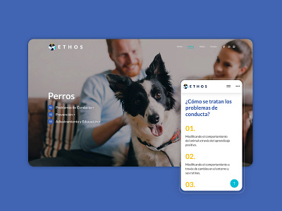 Website Ethos brand identity branding mobile pets ui ux veterinary web web design website