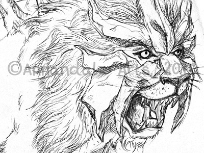 Hand Drawn Pokemon - Entei