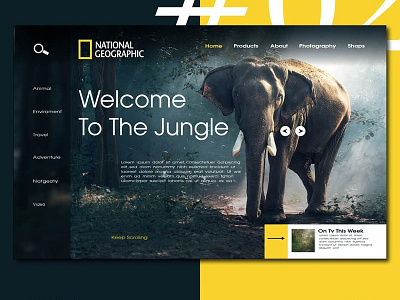 National Geographic interface animation app branding character clean flat identity illustration inteface lettering mobile typography ui ui art ui dashboard uidesign ux vector web website