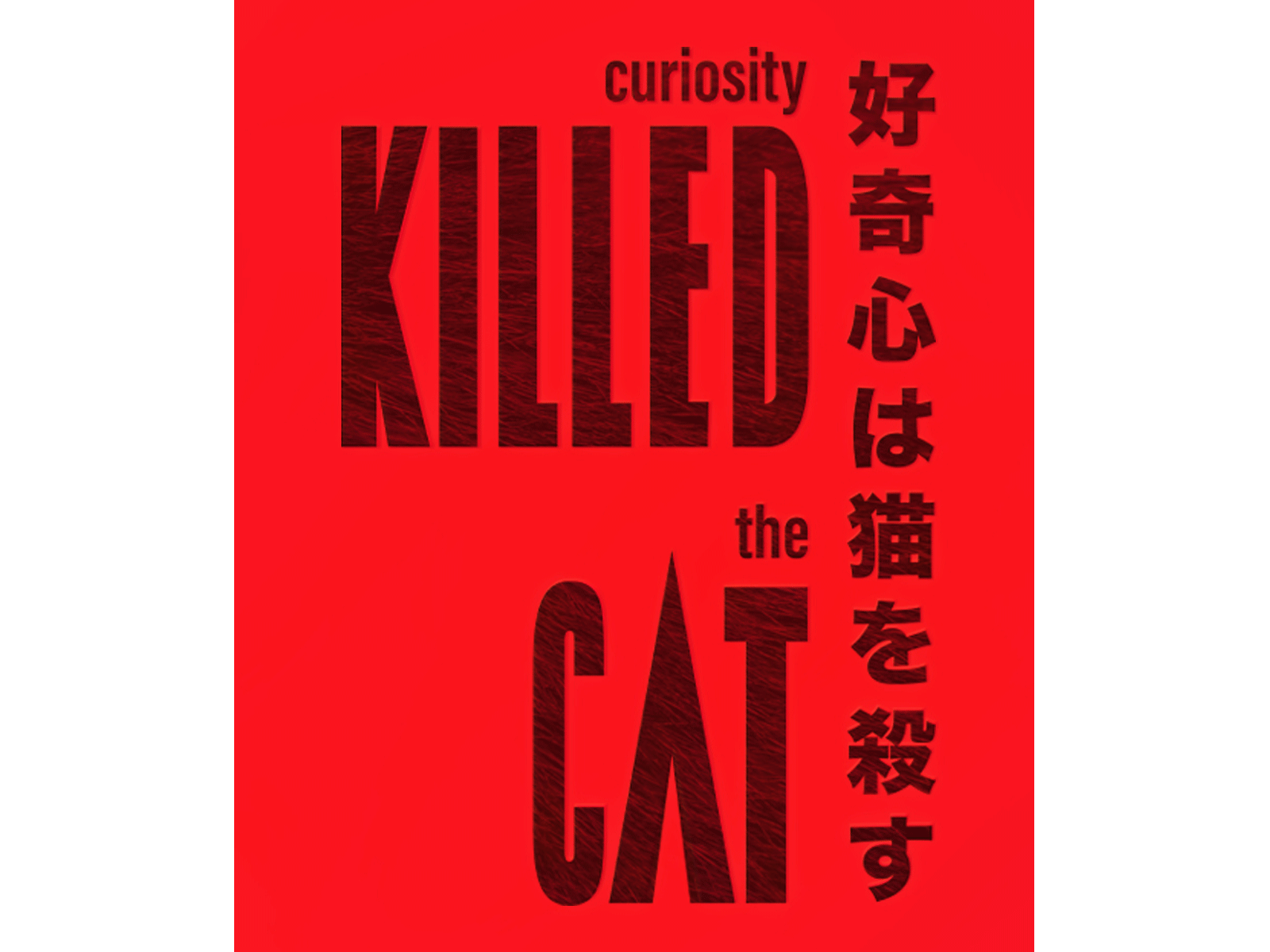 Custom Type animation cat custom type editorial expressive type expressive typography gif japanese lettering