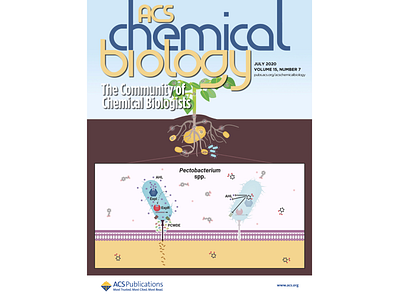 ACS Chemical Biology Art for Volume 15, Issue 7