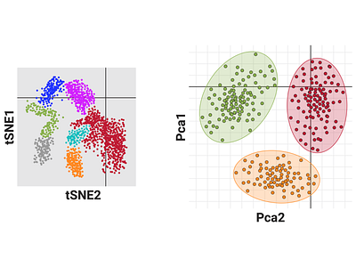 Single Cell RNA Seq