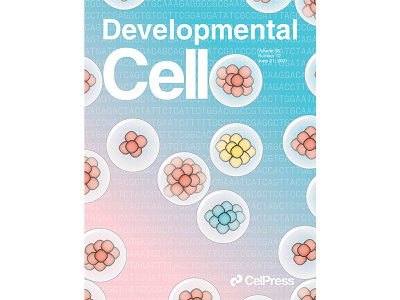 Developmental Cell Cover for Volume 56, Issue 12