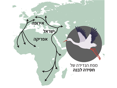White Stork Migration Map