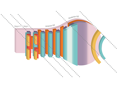 Segments in 3D