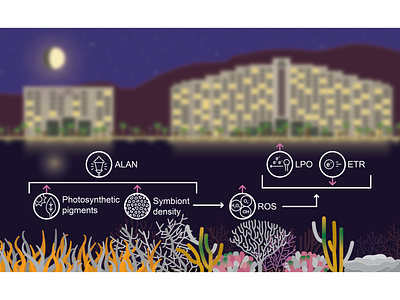 ALAN Impact on Coral Physiology (1)