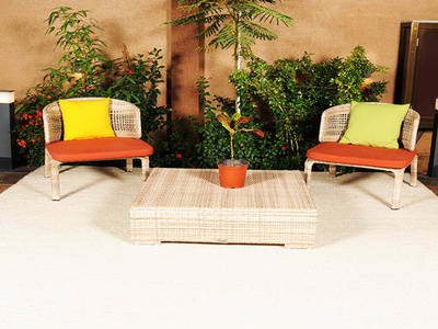 Outdoor Rugs