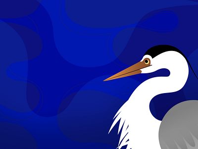 Heron bird design digital art drawing heron illustration illustrator vector