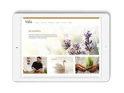 Valia Skincare Website