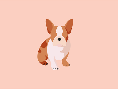 frenchie bulldog design dog dog illustration french bulldog frenchie icon illustration illustrator minimal pup pupper vector