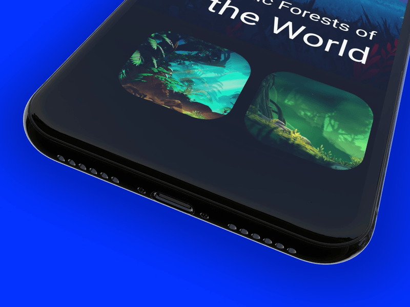 Forests of the World - Work in Progress adobe xd clean design flat design illustration mobile app design user experience