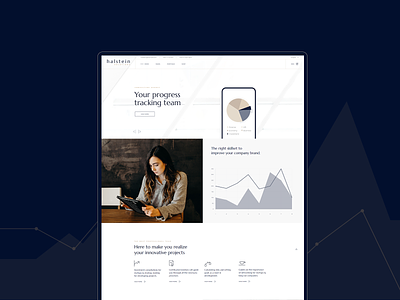 Halstein - Business Consulting Theme