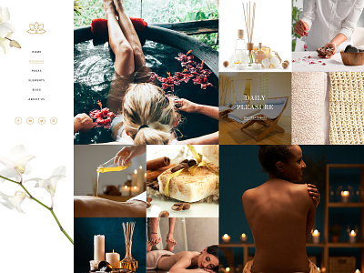 Aviana beauty beauty spa cosmetics elegant lifestyle portfolio spa website mockup wellness wordpress