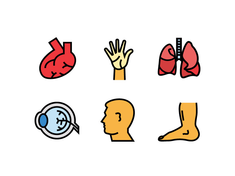 Human Organ icons eye filled line filled outline foot hand head heart human body human organ icon icon design icon set icons icons pack liver outline