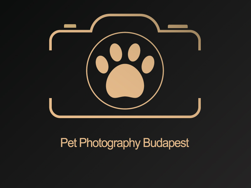 Animal Pets Logo By Seyed Mahdi On Dribbble