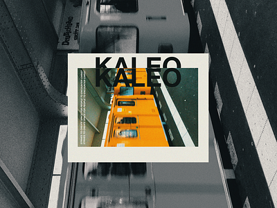 Kaleo Phoenix branding design design art graphics typography