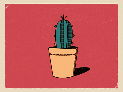 Cactus. cactus design green illustration november plant spikes vector