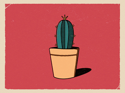 Cactus.