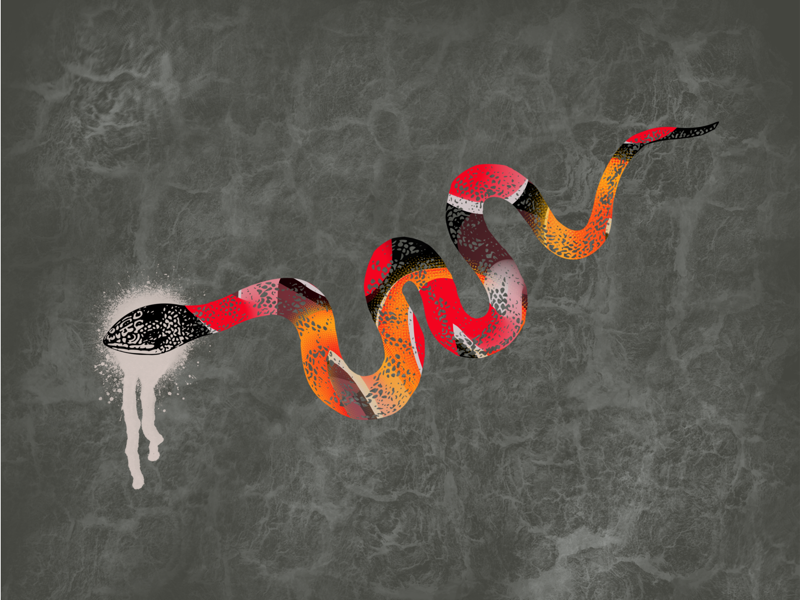 Slippery π snake throw back graphic design hand drawn illustration illustration texture play clairssmithdesigns