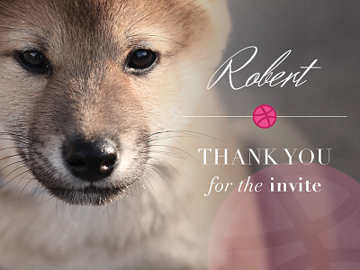 1st shot | Thanks to Robert doge draft drafted first shot invite puppy shiba shiba inu thank you thanks