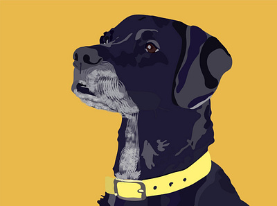 The dog band art branding design flat graphic design illustration illustrator minimal vector
