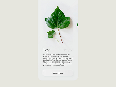 Neumorphic app screen | Leaf identification app branding design light minimal minimalistic mobile neumorphic plant skeumorphic trend ui ui ux ui design uidesign uiux