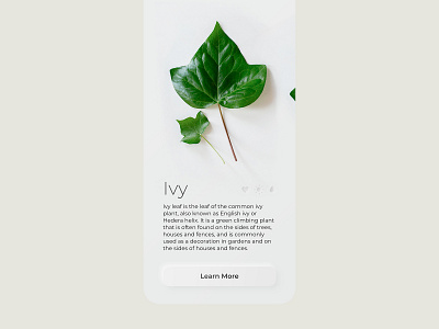 Neumorphic app screen | Leaf identification