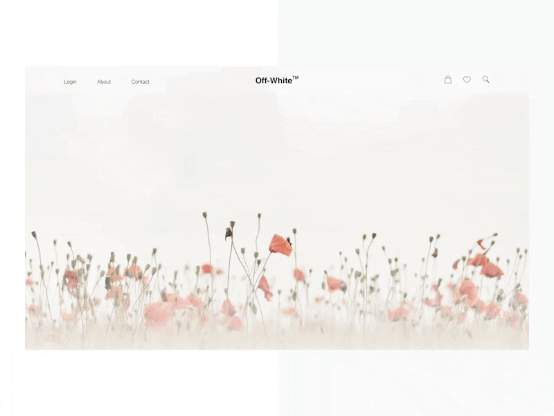 Off-White Website Design Concept